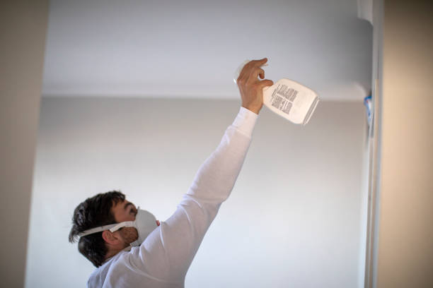 Best Best Mold Removal Companies  in Forest Lake, MN