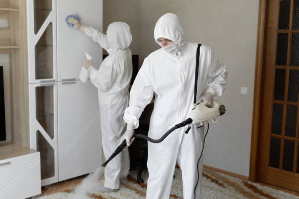 Best Mold Testing  in Forest Lake, MN