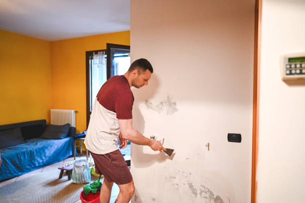 Best Mold Remediation Experts  in Forest Lake, MN